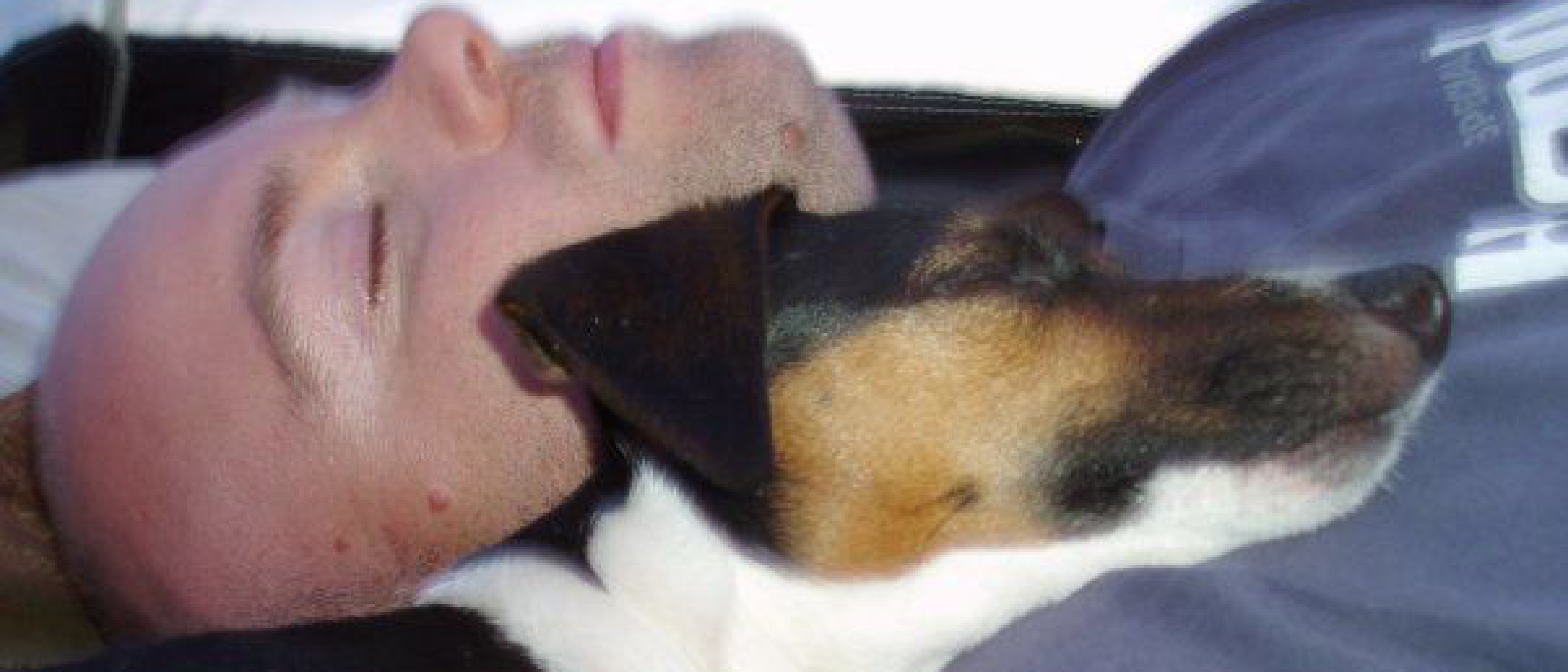 The Love of a Dog