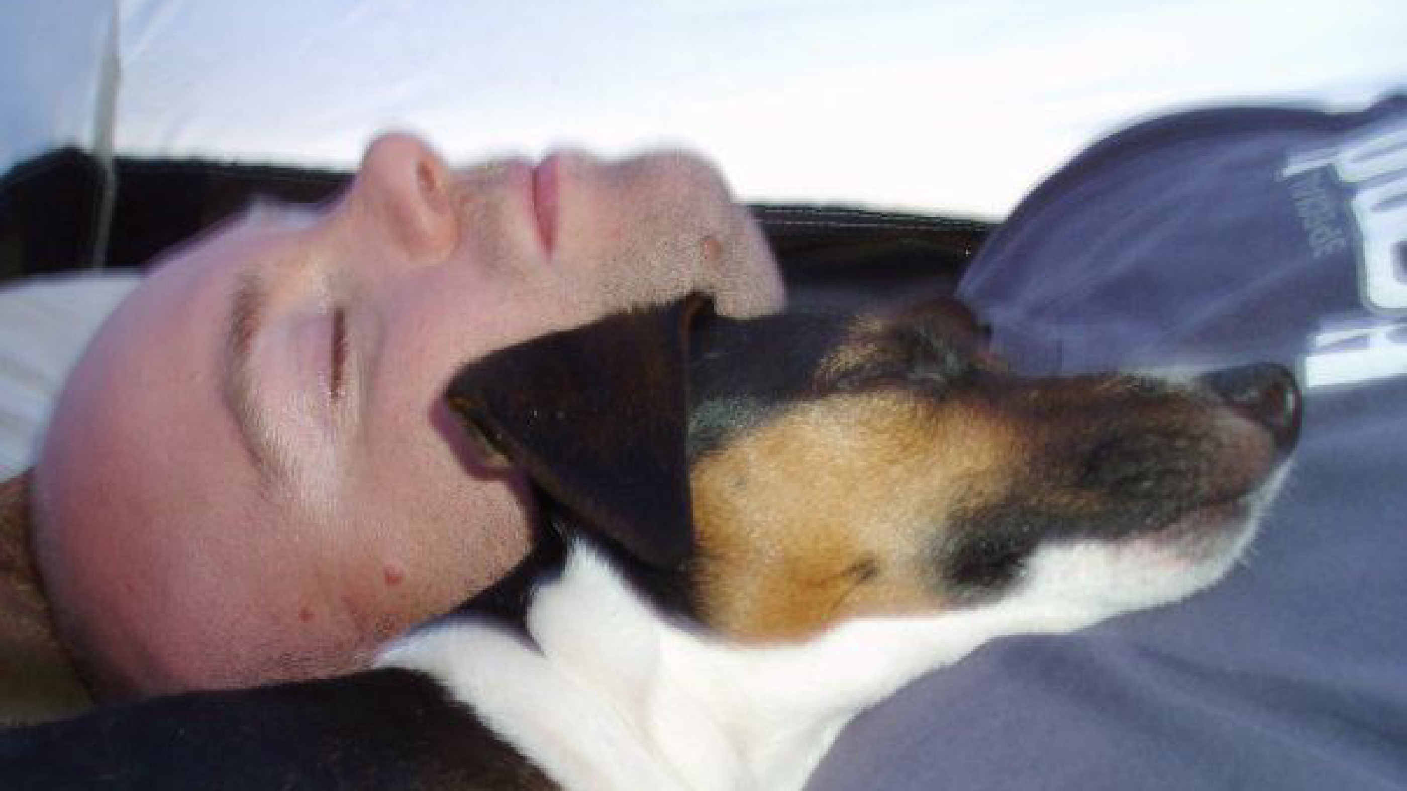 The Love of a Dog